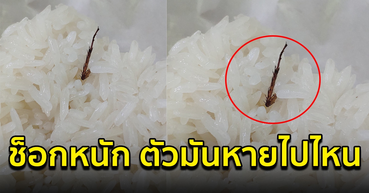 หนุ่มกินข้าวหวังกินแซ่บๆ แต่ต้องหยุดชะงัก หลังเห็นขาโผล่