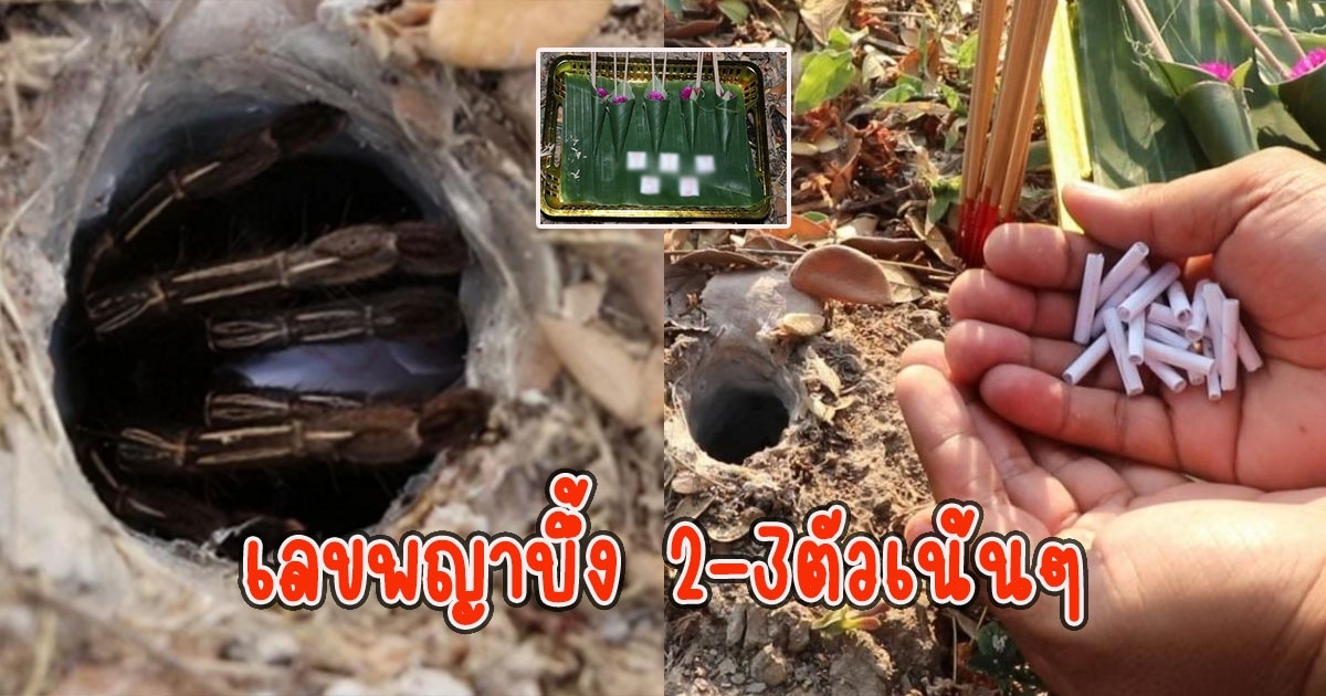 โค้งสุดท้าย เลขพญาบึ้ง 2-3ตัวเน้นๆ