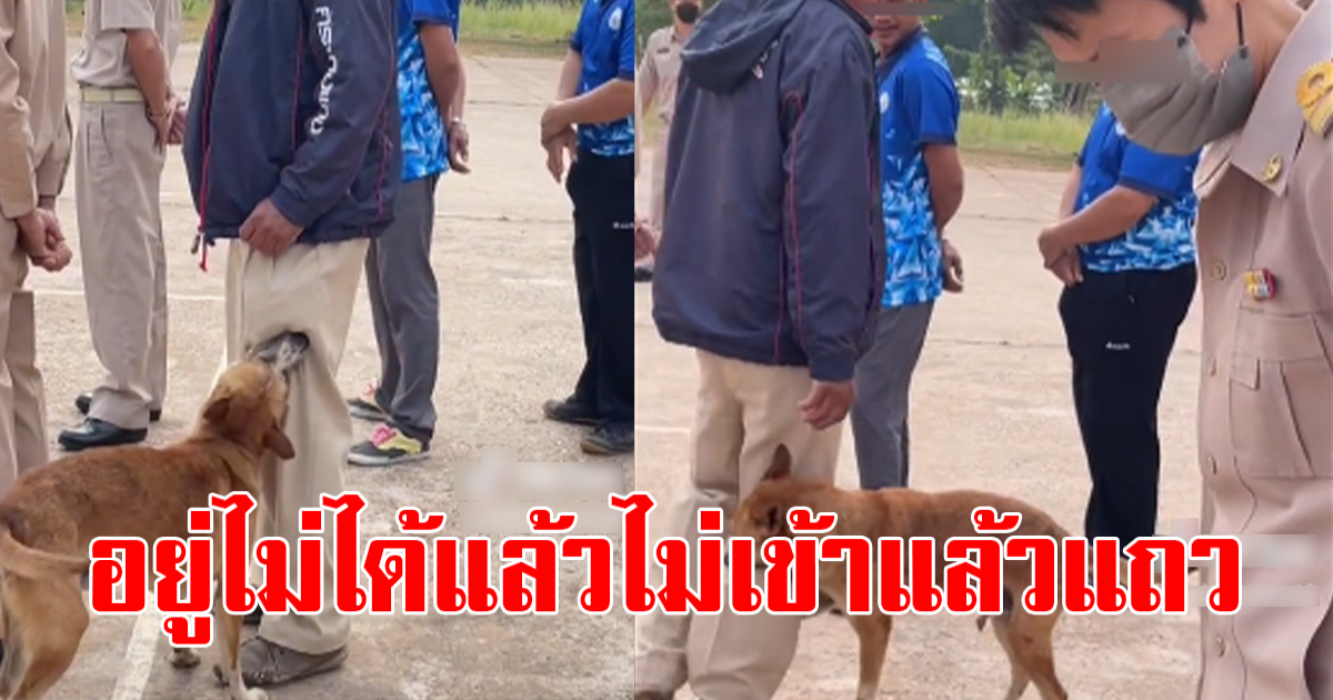 คนดูเป็นล้าน ลุงยืนเข้าแถว อยู่ดีๆ ก่อนมีมารผจญ ทำปั่นป่วนไปหมด