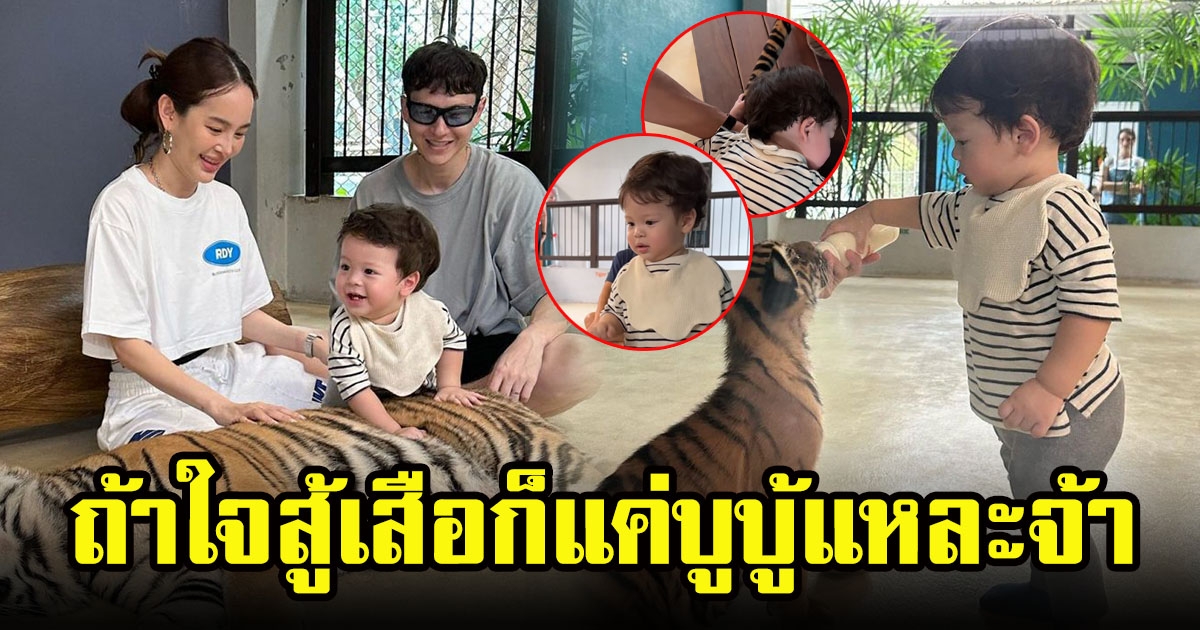 ปุ้มปุ้ย พรรณทิพา เผยโมเมนต์น่ารักน้องไซอัลบลู เล่นกับเสือจนเสือเผ่น ใจสู้มาก ไม่กลัวเลยสักนิด