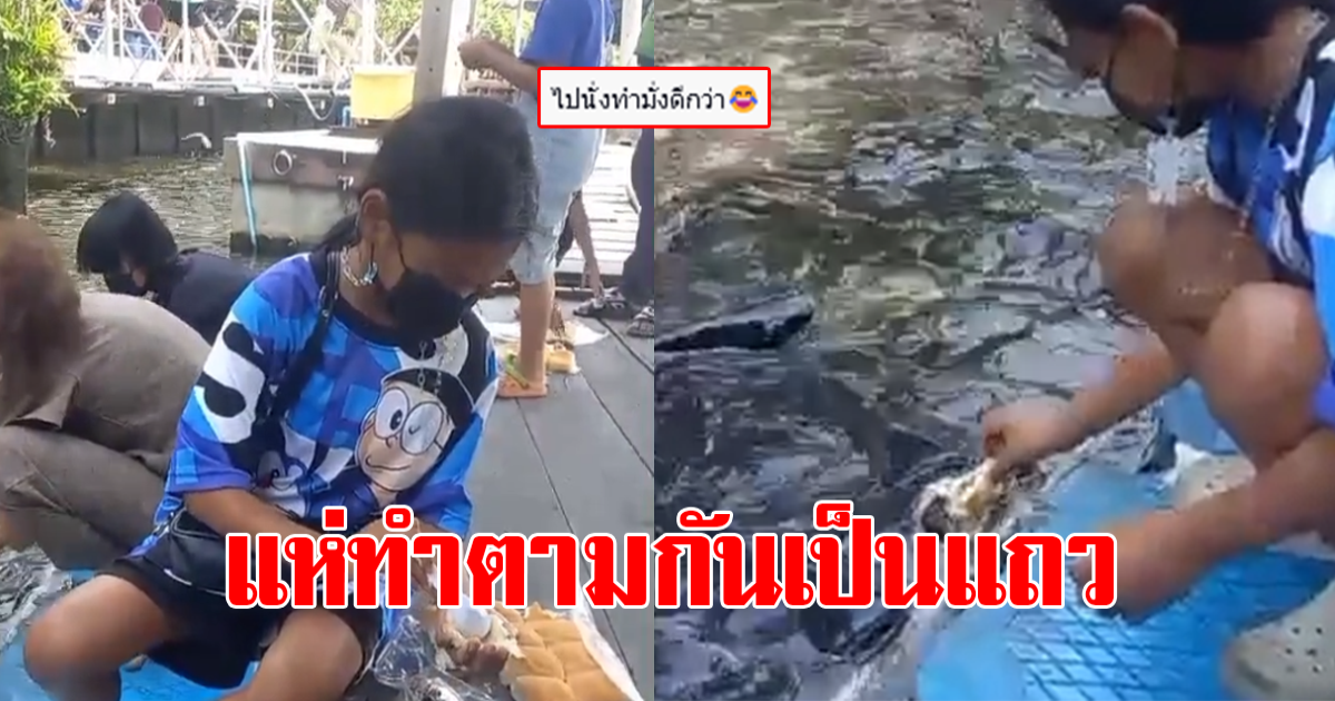 นักท่องเที่ยว มุงดู เด็กสาวนั่ง ให้อาหารปลาแบบแปลกๆ