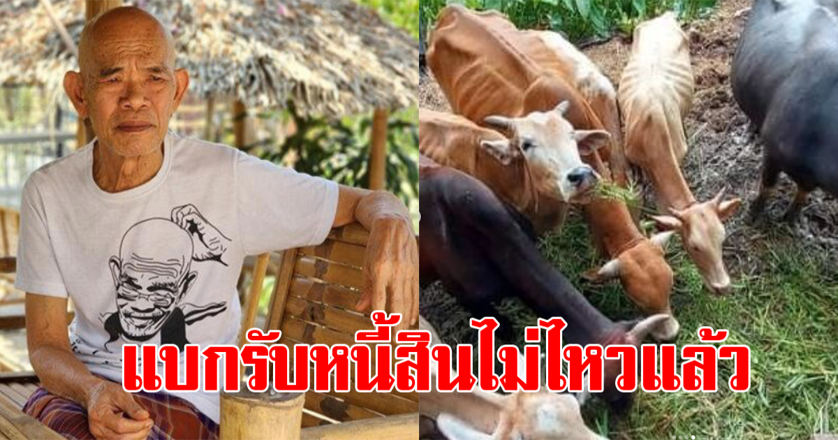ป๋าเทพ โดนเรียกเก็บภาษีย้อนหลัง หนี้สินมหาศาล ไปต่อไม่ไหว แจก วัว ควาย ฟรี