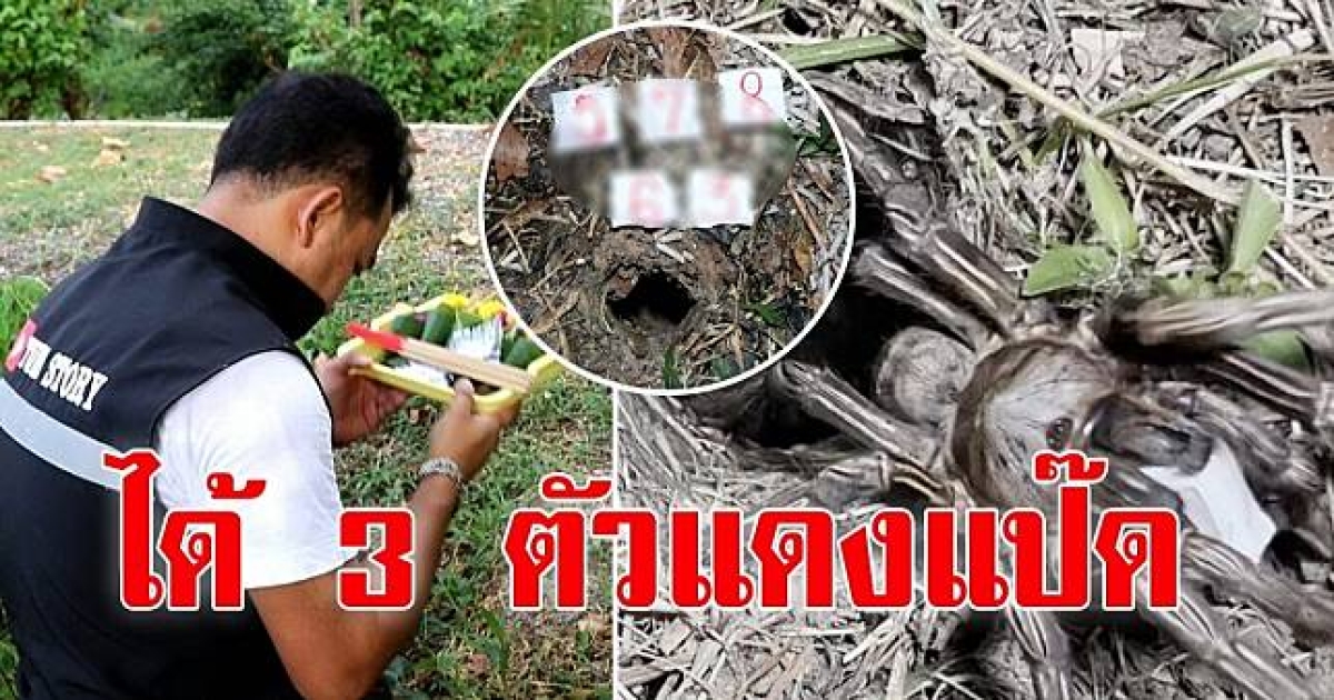 มาแล้ว เลขพญาบึ้ง 1 เมษายน 66 นั่งรอลุ้นตั้งแต่เช้ายันค่ำ กอดตัวเลขขึ้นมาให้ 2 ตัว 3 ตัว