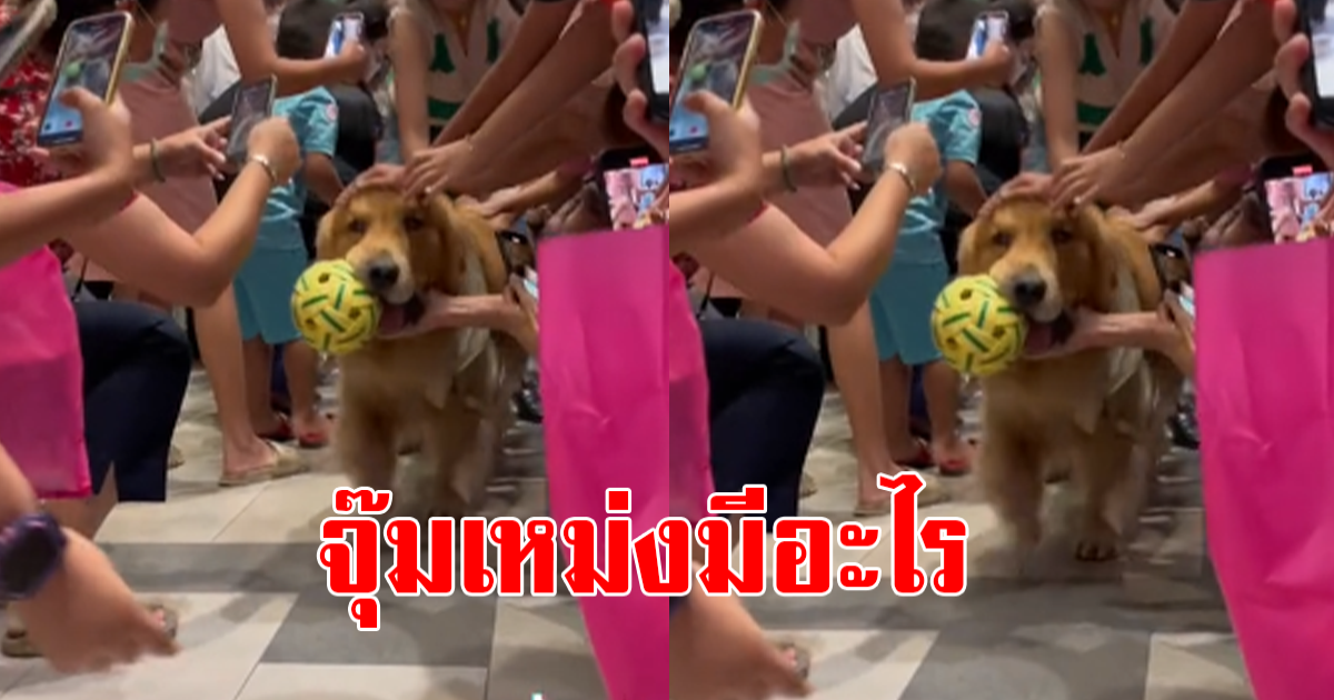 จุ๊มเหม่ง ทำห้างโคราชแทบแตก หลังแฟนๆแห่มารอส่งกลับบ้าน