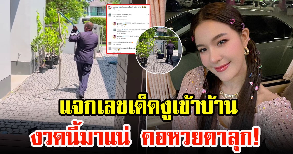 เปา เปาวลี โพสต์คลิป งูตัวใหญ่เข้าบ้าน เชื่องูตัวนี้มาให้โชคใหญ่ แห่ขอเลขที่บ้าน