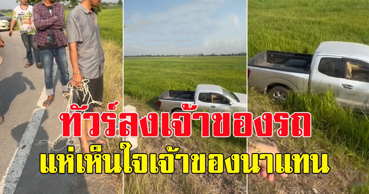 กระบะเสียหลักลงทุ่งนา สุดท้ายมีแต่คนสงสารเจ้าของนา