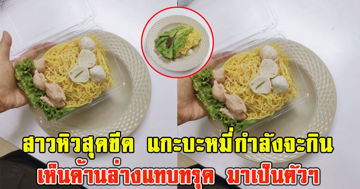 สาวหิวสุดขีด แกะบะหมี่กำลังจะกิน แต่เมื่อเห็นด้านล่างแทบทรุด มาเป็นตัวๆ