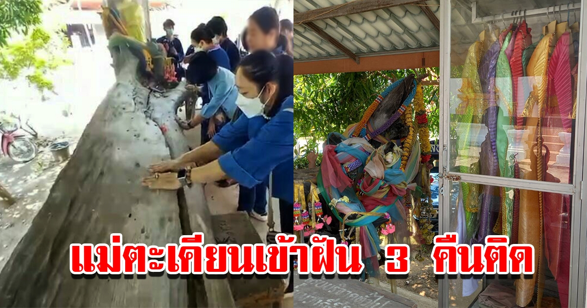 ส่องเลขเด็ดตะเคียนทอง วัดต้นม่วงคีรี คนค้นพบฝันเห็น 3 คืนติด หญิงใส่ชุดไทยมาขออยู่ด้วย