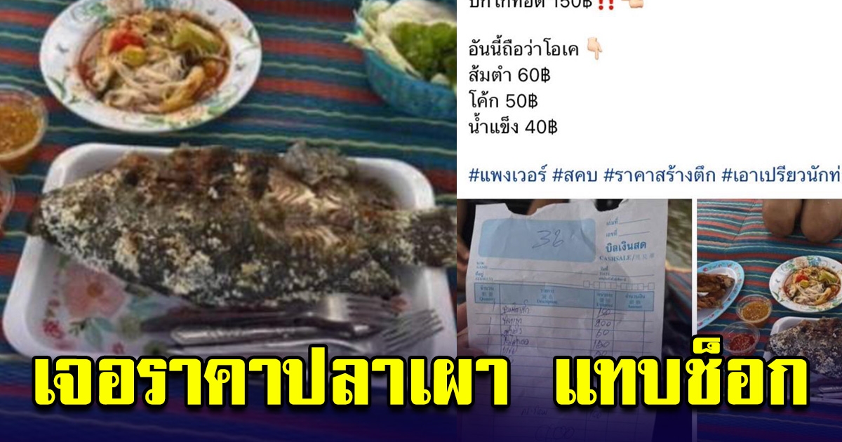 นักท่องเที่ยว แทบช็อก สั่งปลาเผามากิน เห็นราคาที่ต้องจ่าย ใครจะไหว