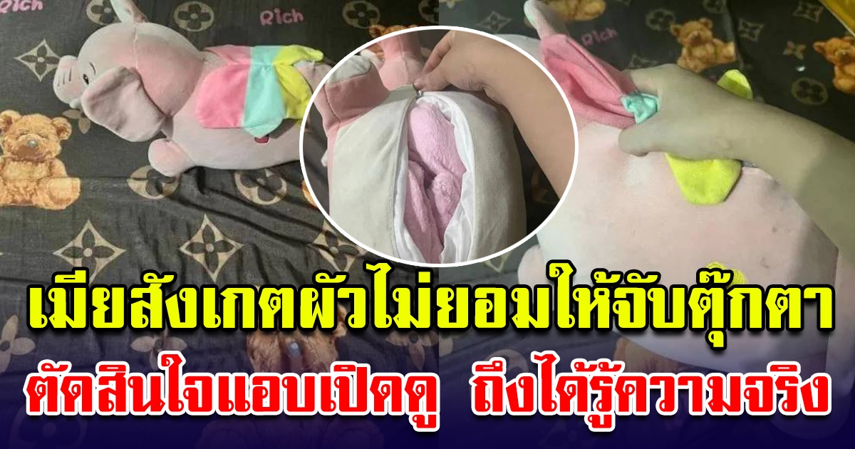 เมียสังเกต เห็นผัวติดตุ๊กตาจนน่าสงสัย ตัดสินใจแอบเปิดดู ถึงได้รู้ความจริง