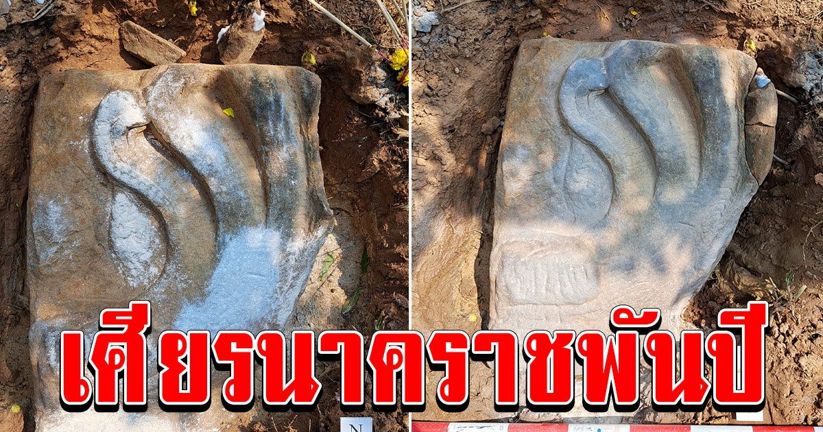 หนุ่มฝันเห็นเจดีย์ 3 ครั้งก่อนมาขุดเจอเศียรนาคราชพันปี