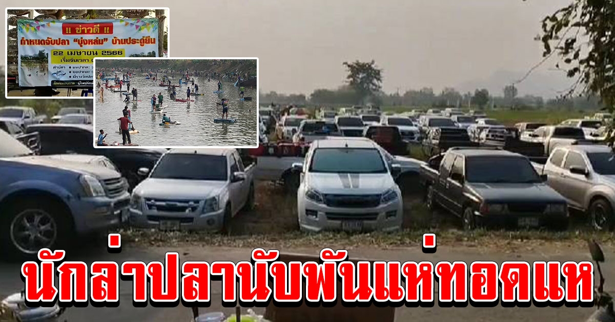อั้นมา 2 ปี ป้ายบอกข่าวดี นักล่าปลานับพันแห่ทอดแหจับปลากลางสระ