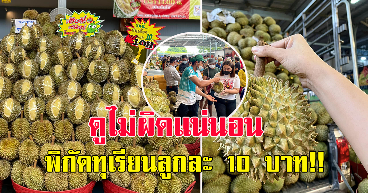 เปิดพิกัด ทุเรียนลูกละ 10 บ. ขายจริงไม่โกหก ไม่ถึงชม. 1,500 ลูกเกลี้ยง