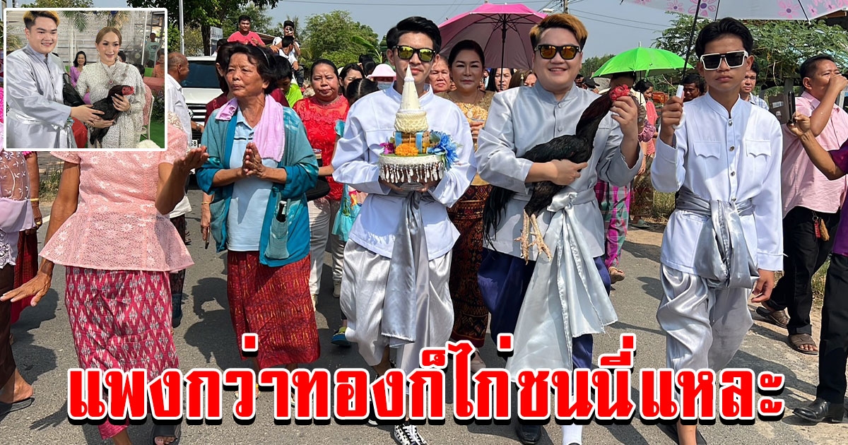 หนุ่มหล่อ อุ้มไก่ชนเป็นสินสอดขอแต่งงานกับคนรัก รู้ราคาอิจฉาทั้งหมู่บ้าน