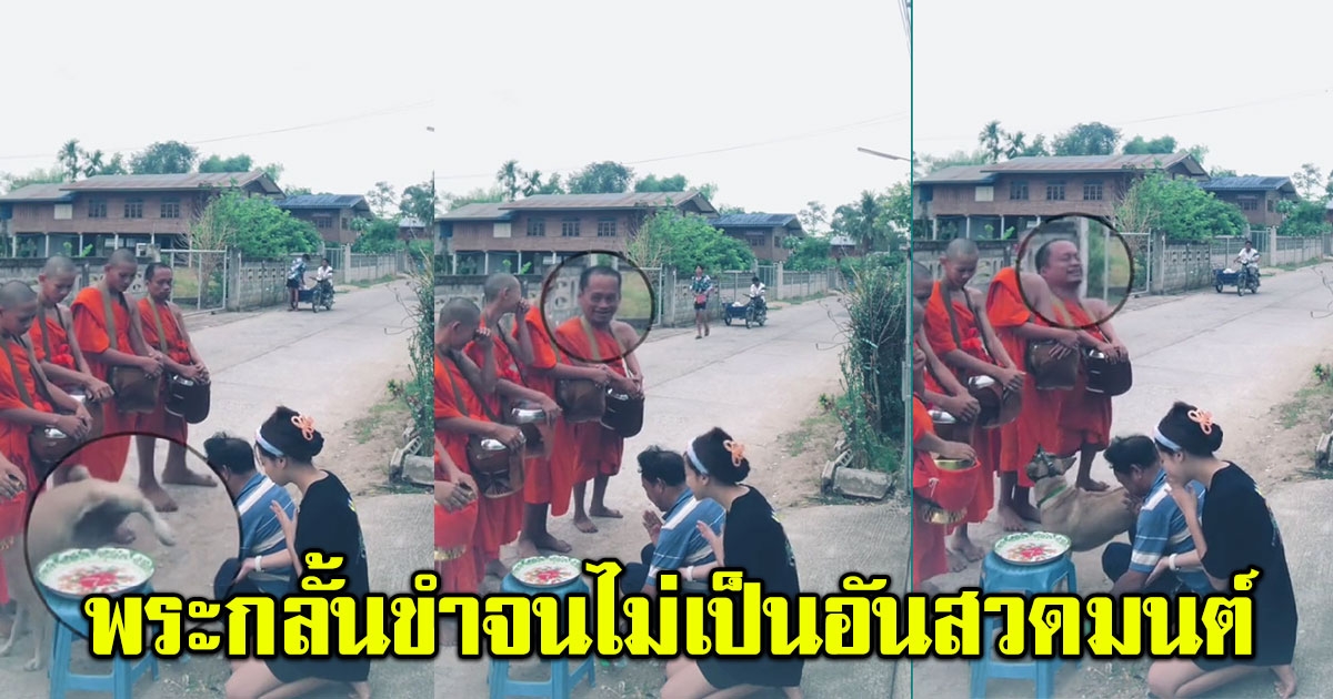 สมาธิหลุดทั้งแถว เมื่อพระและเณร พยายามกลั้นขำ จนไม่เป็นอันสวดมนต์