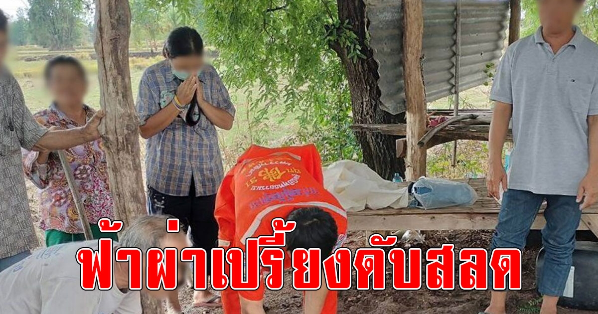 ต้อนวัวไปเลี้ยงกลางทุ่งนา ฝนเทฟ้าคะนอง วิ่งหลบเข้ากระท่อม เจอฟ้าผ่าเปรี้ยงลงหลังคาสิ้นใจสลด