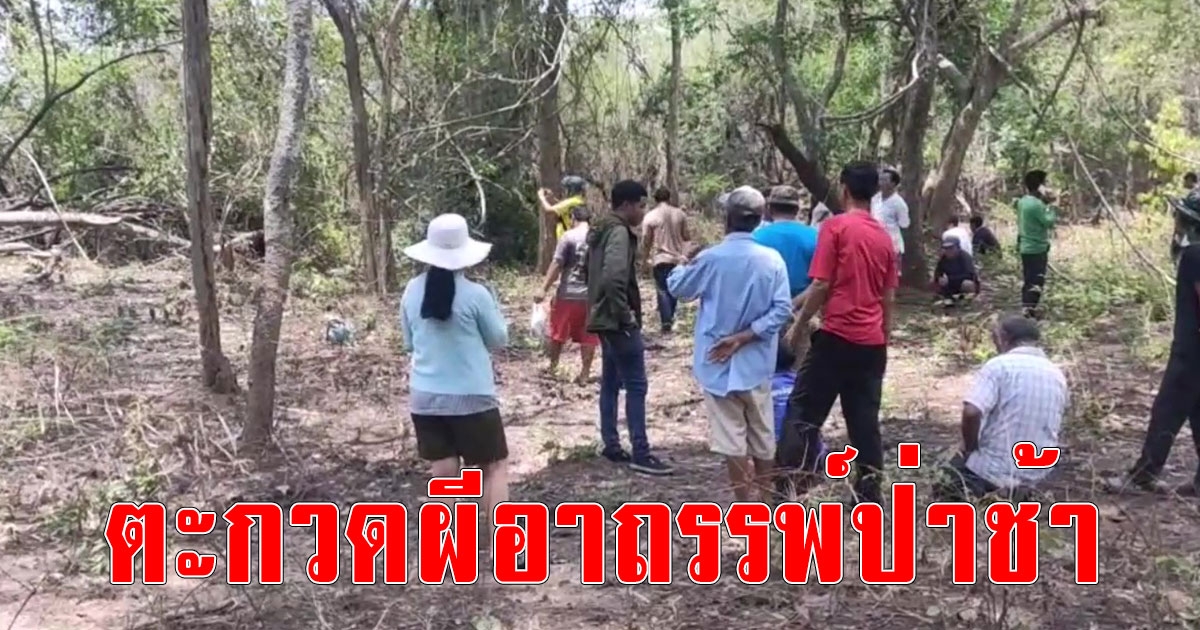 หนุ่มใหญ่โค่นต้นไม้ไล่ตะกวดเข้าโพรง สุดท้ายโดนอาถรรพ์ป่าช้าวัดป่าดับสลด