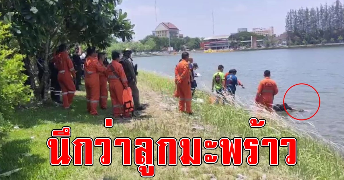 ลุงเดินไปยิงกระต่ายริมแม่น้ำ ชำเลืองไปเห็นลูกมะพร้าวลอยมาเดินไปดูใกล้ๆ ร้องลั่นหัวคนนี่หว่า
