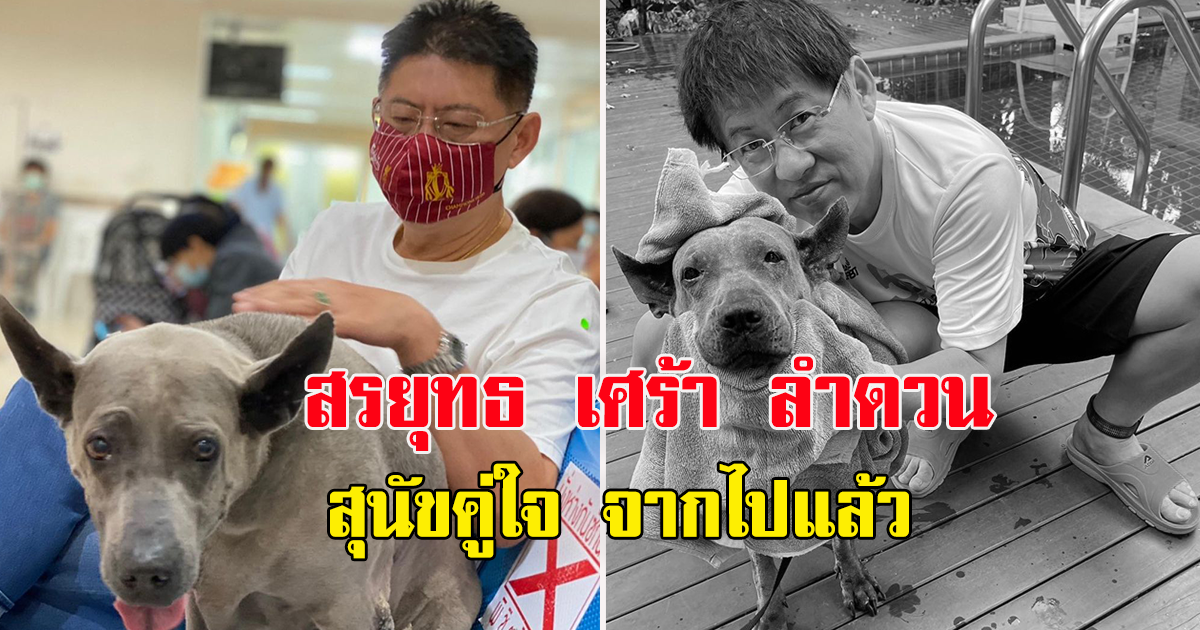 สรยุทธ โพสต์เศร้า ลำดวน สุนัขคู่ใจ จากไปแล้ว