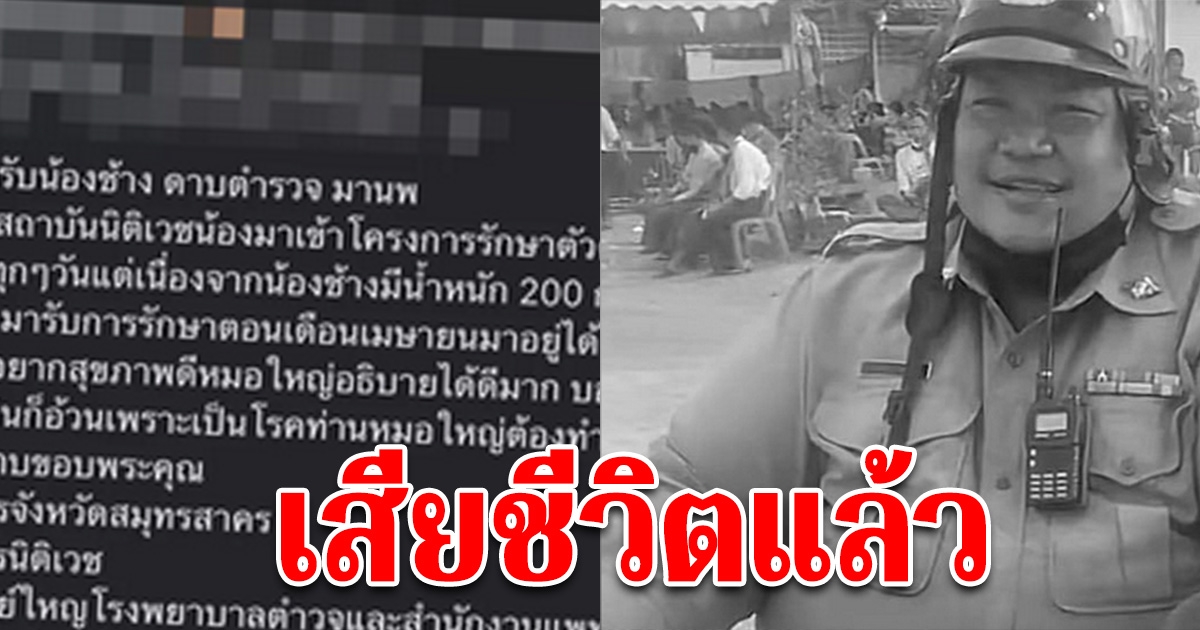 อาลัย ดาบช้าง เสียชีวิต วูบในห้องน้ำขณะรักษาตัว