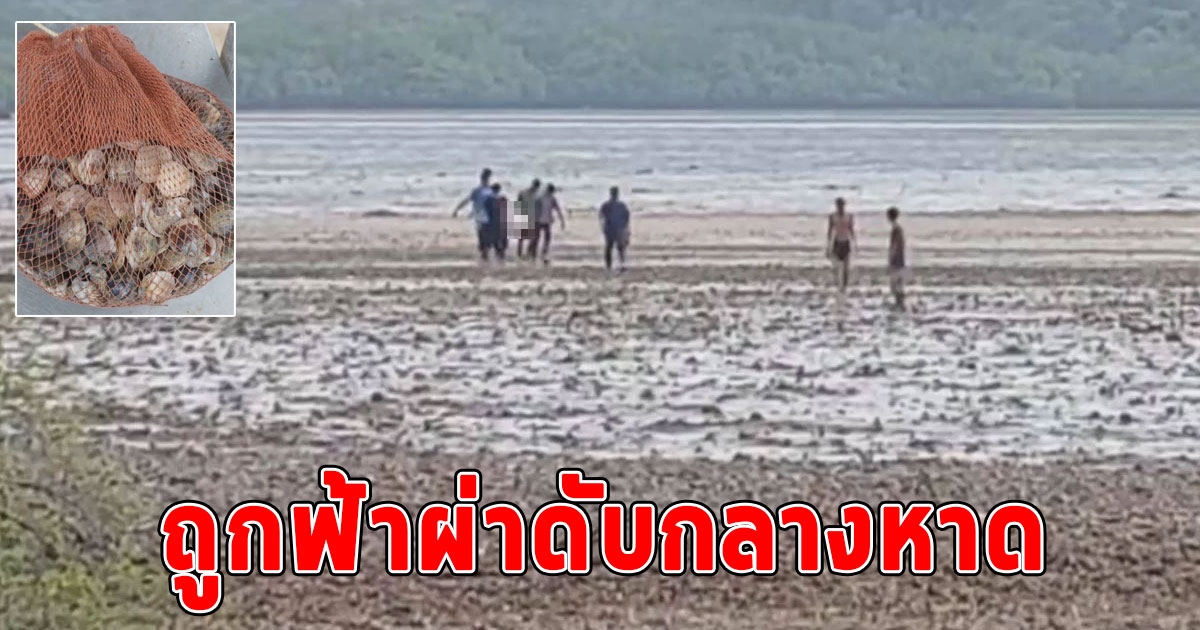 หญิงวัย 39 ออกงมหอยท่ามกลางพายุฝน ถูกฟ้าผ่าดับกลางหาดที่เกาะช้าง