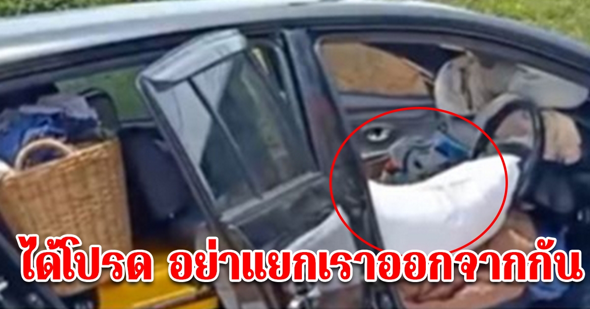 สุดเศร้า หญิงวัย 46 ปี รมควันพร้อมสุนัขคู่ใจ ภายในรถเก๋ง เขียนจดหมายสั่งลา ถ้ามาเจอเรา โปรดอย่าแยกเราออกจากกัน