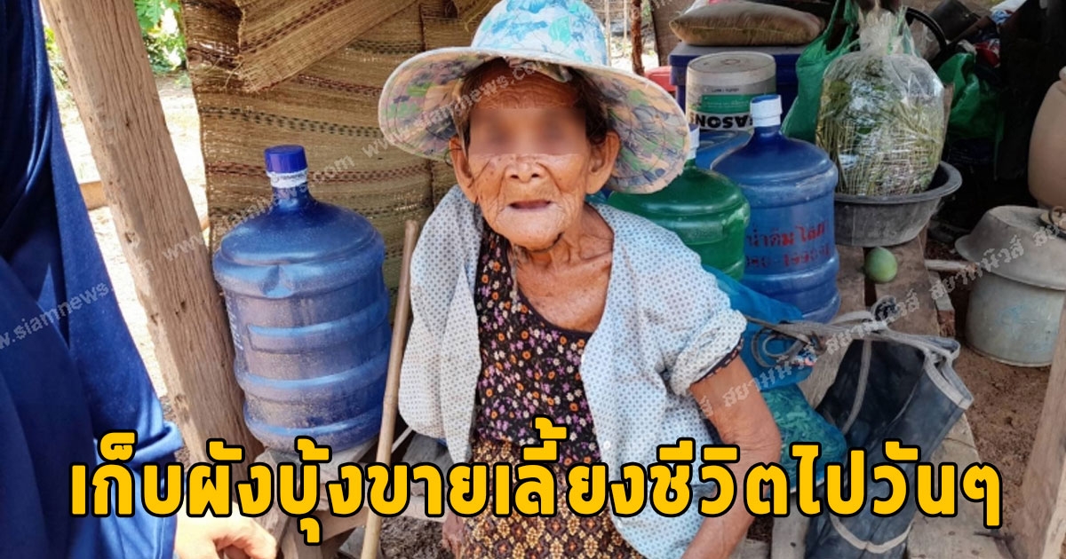 ยายเล่าอยู่กับลูกกับหลานลำบากใจทั้งถูกด่าทำร้ายร่างกาย ต้องออกหาเก็บผักบุ้งไปขายพอได้เงินมาเลี้ยงชีวิตไปวันๆ