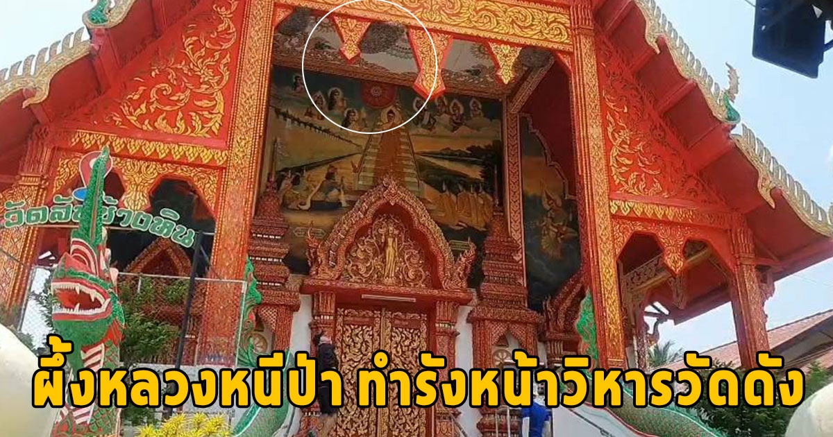 แปลก ผึ้งหลวงหนีป่า ทำรังหน้าวิหารวัดดังอำเภอดอกคำใต้