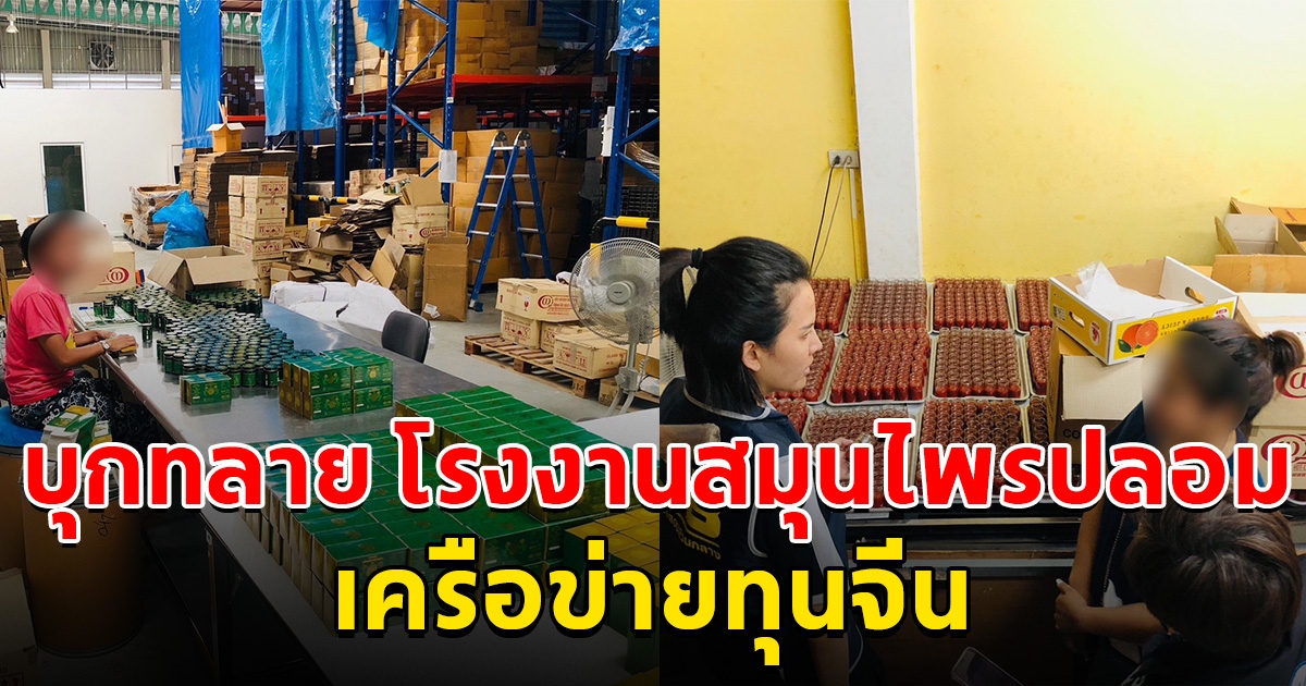 จนท.บุกทลาย โรงงานแหล่งผลิตสมุนไพรปลอม เครือข่ายทุนจีน