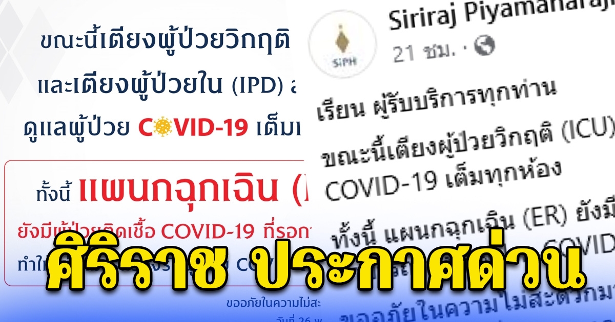 หนักแล้ว ศิริราช ประกาศด่วน แจ้งเตียง เต็มทุกห้อง แผนกฉุกเฉินก็ล้นแล้ว