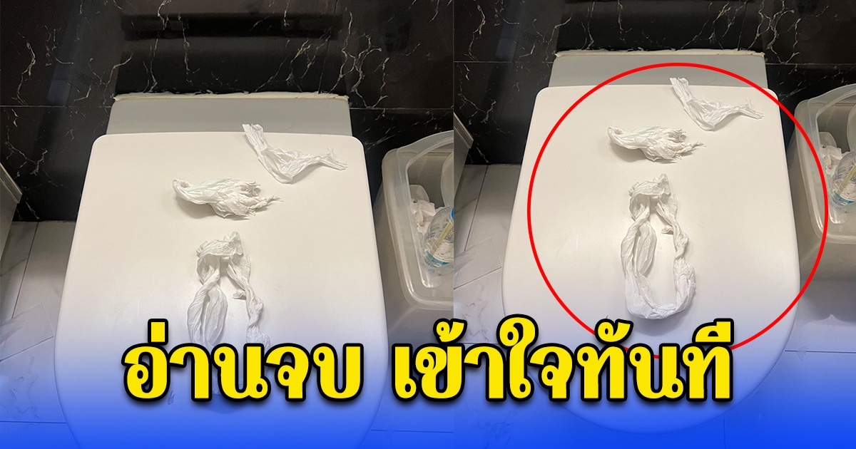 สาวเข้าห้องน้ำ เห็นทิชชู่วางบนฝาชักโครก พอรู้เหตุผล เข้าใจทันที