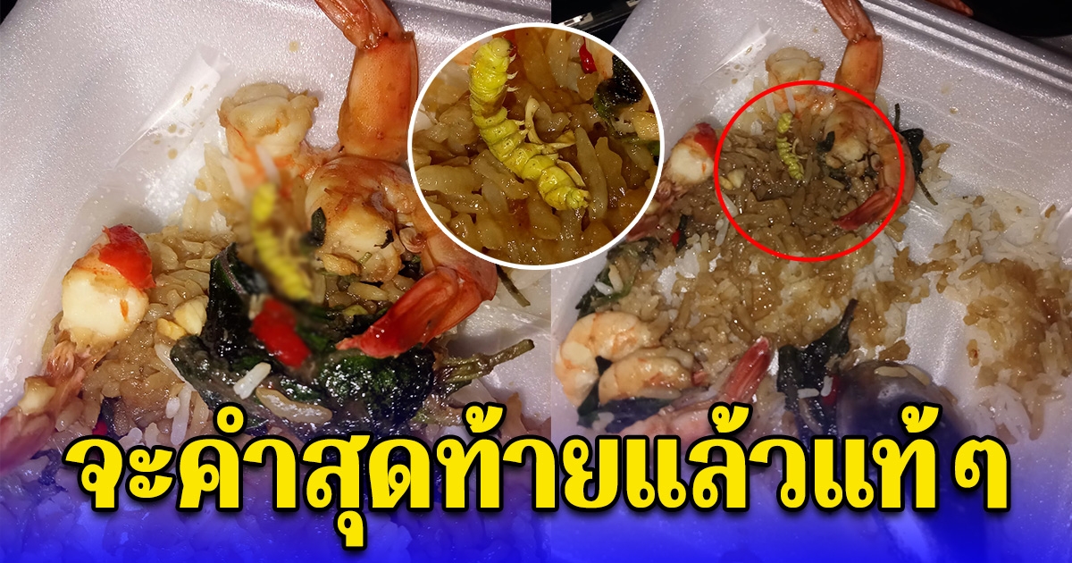 สาวสั่งผัดกระเพราะกุ้งมากิน ตักจะคำสุดท้าย เจอตัวสีเขียวโผล่คากล่องข้าว ตัวใหญ่มาก