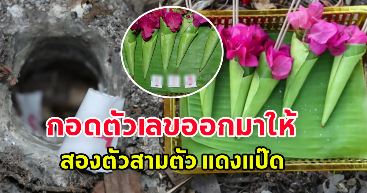 เลขพญาบึ้ง 1 มิถุนายน 66 นั่งรอลุ้นตั้งแต่เช้ายันค่ำ กอดตัวเลขขึ้นมาให้ 2 ตัว 3 ตัว