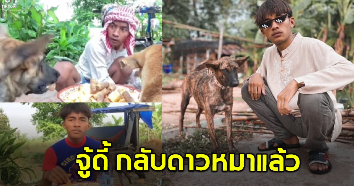 เจ้าจูดี้ หมาดาวติ๊กต็อกถูกวางยาจนสิ้นใจ แม่รับไม่ได้ ร้องไห้จนเป็นไข้