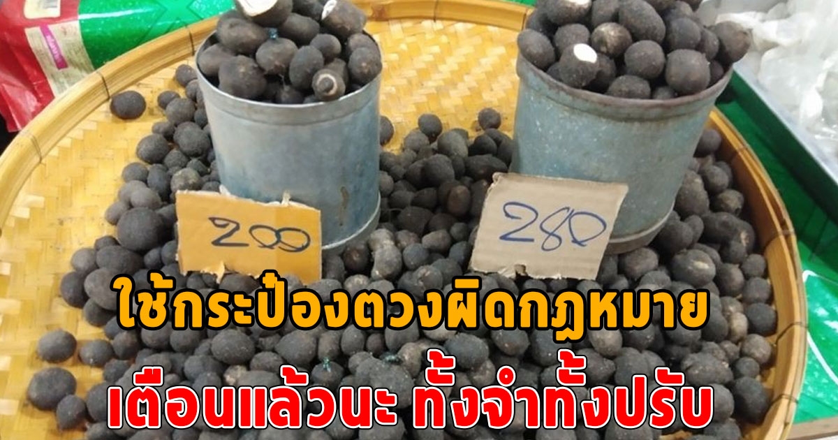 โยนทิ้งให้ไว ใช้ลิตรตวง ซื้อขายเห็ดถอบ-ข้าวสาร มีโทษทั้งจำทั้งปรับ