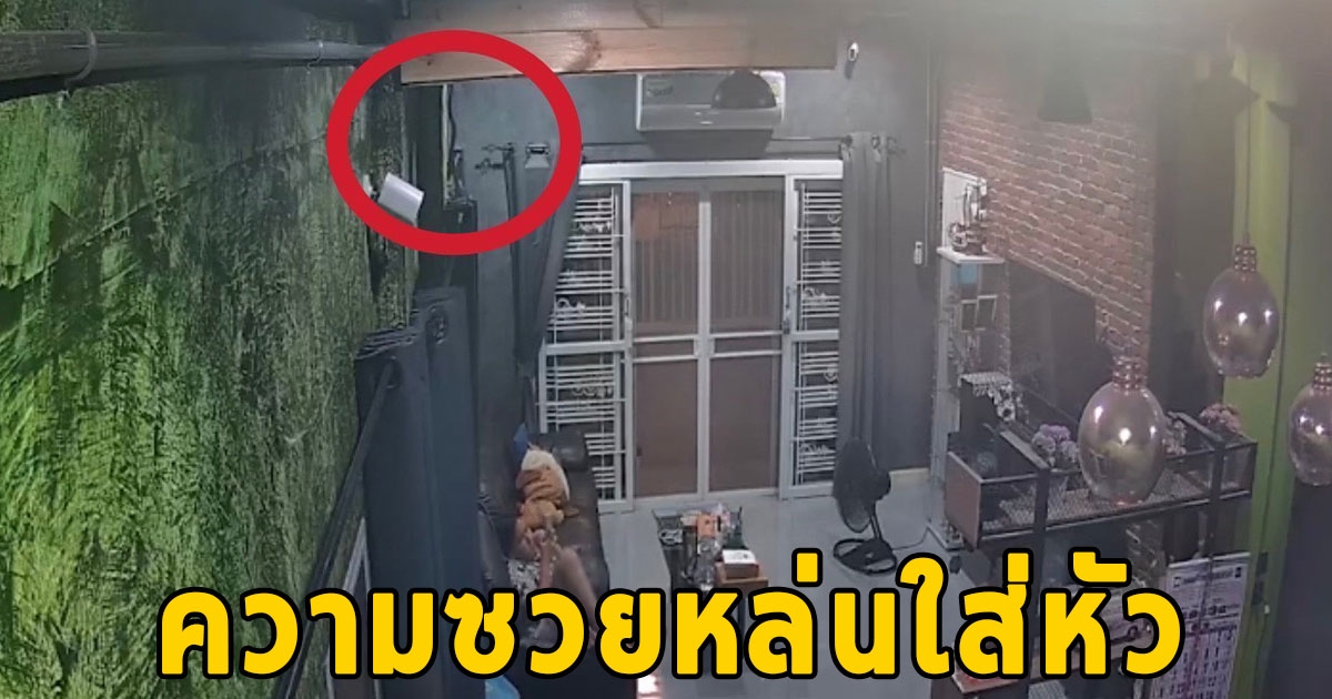 สาวกรี๊ดลั่นบ้าน นั่งเล่นบนโซฟา ความซวยตกใส่หัวดังปั๊ก