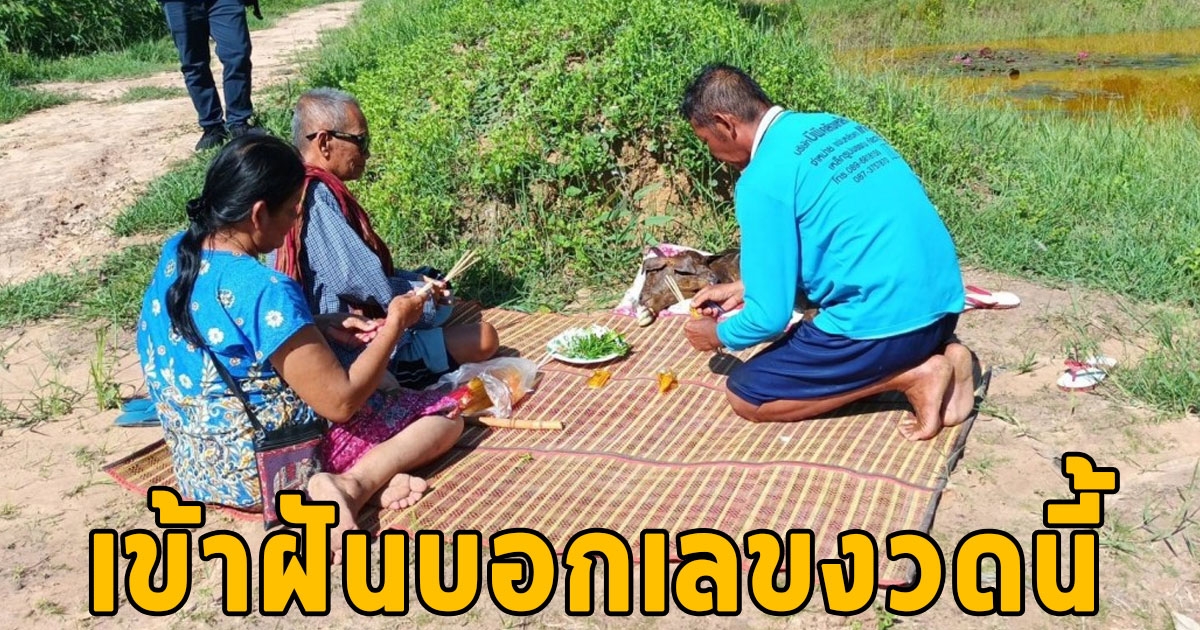 ผู้เฒ่าฝันเห็นชายชุดขาวมาเข้าฝันให้เลข แต่ต้องเอาวัวขึ้นจากน้ำ ตื่นเช้ามาพบวัว 2 หัวจริงๆ