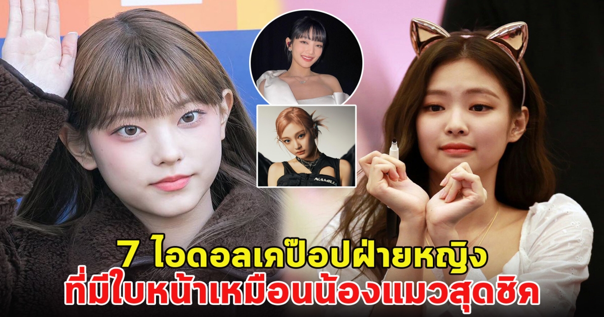 ส่อง 7 ไอดอลเคป๊อปฝ่ายหญิง ที่มีใบหน้าเหมือนน้องแมวสุดชิค