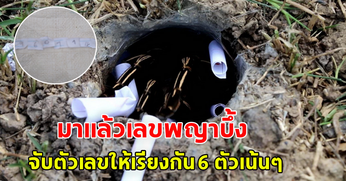 เลขพญาบึ้ง งวด 31 ก.ค.66 จับเลขให้เน้นๆไปเลย 6 ตัว