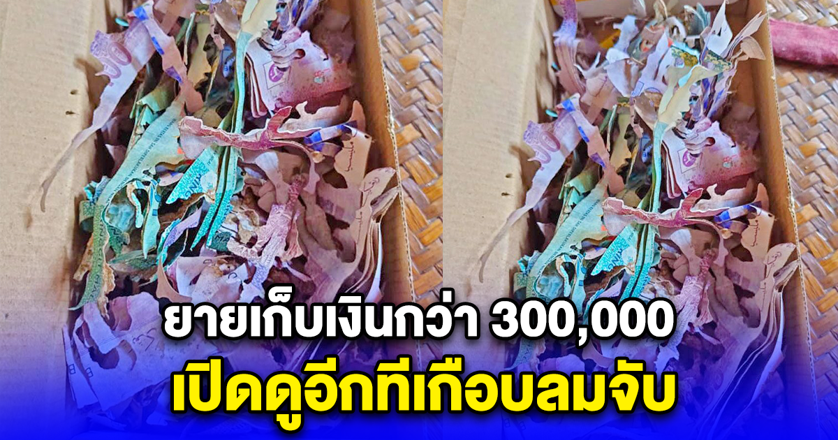 ยายเก็บเงินกว่า 300,000 เปิดดูอีกทีเกือบลมจับ