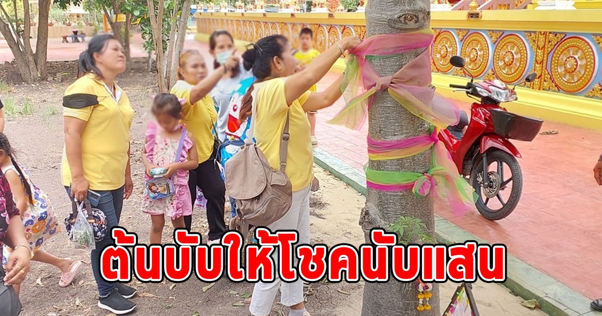 ชาวบ้านแห่ขอโชค ต้นบับ หลัง 2 ผัวเมียถูกหวยนับแสน