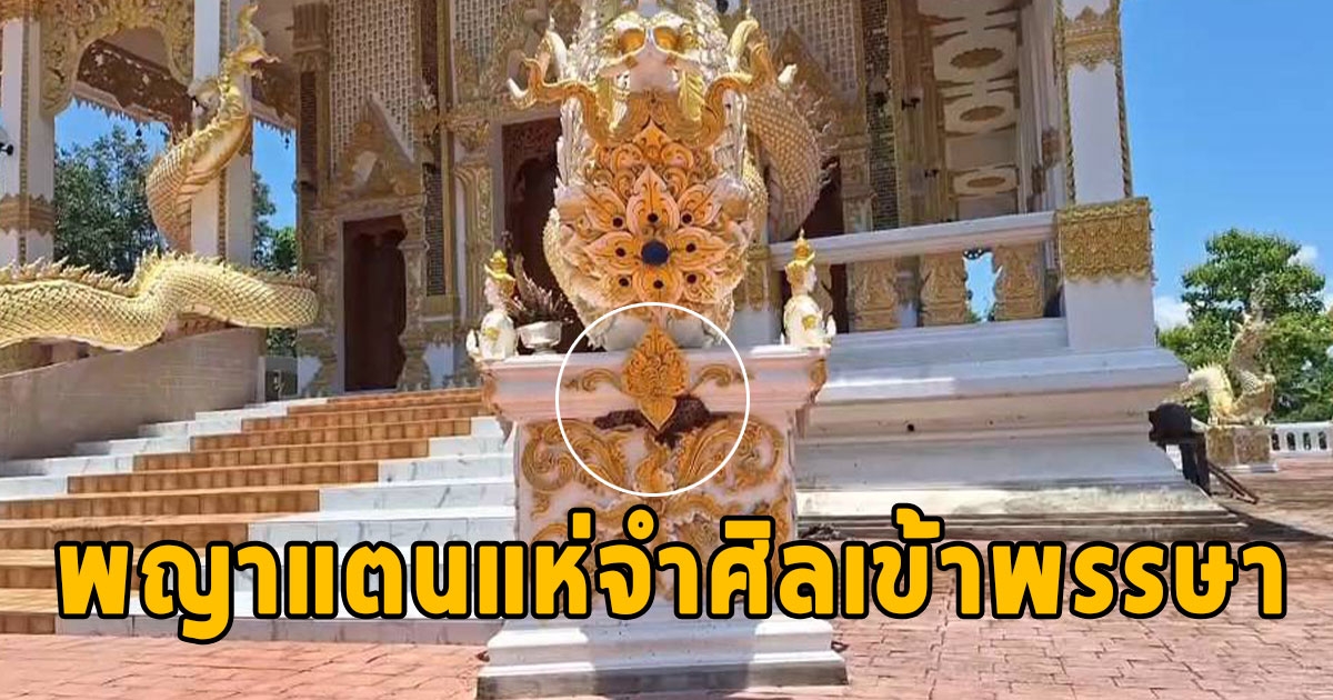 พญาแตนแห่จำศิลเข้าพรรษา ทำรังในปากและฐานรูปปั้นพญานาควัดดัง