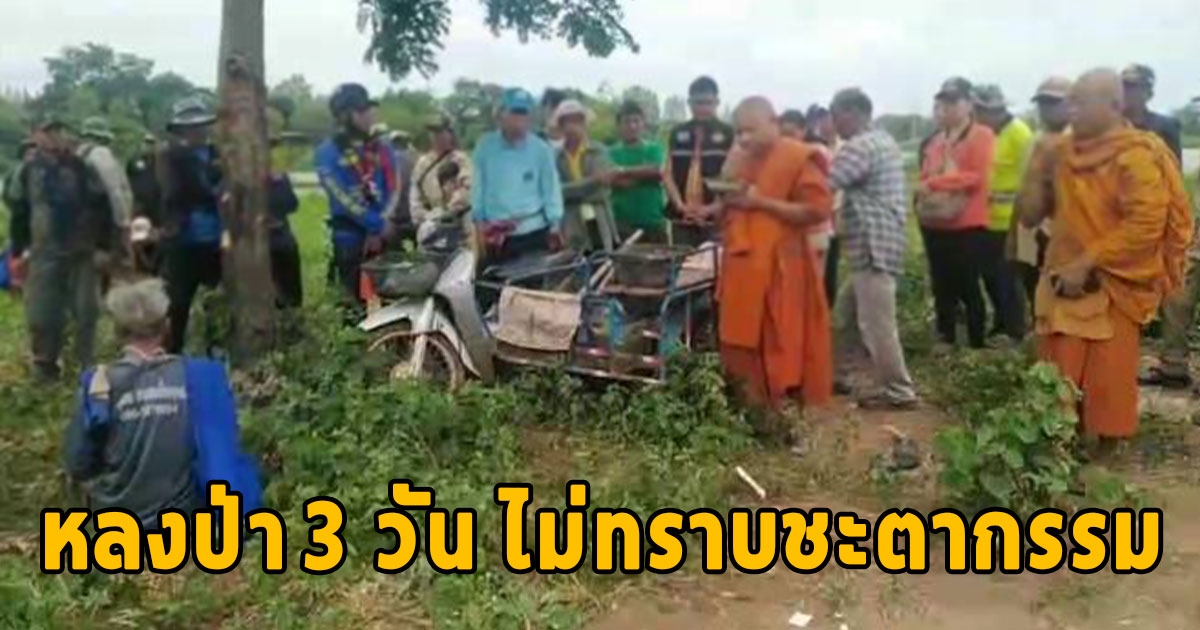 พ่อเฒ่าวัย 85 ปี หลงป่า 3 วัน ไม่ทราบชะตากรรม