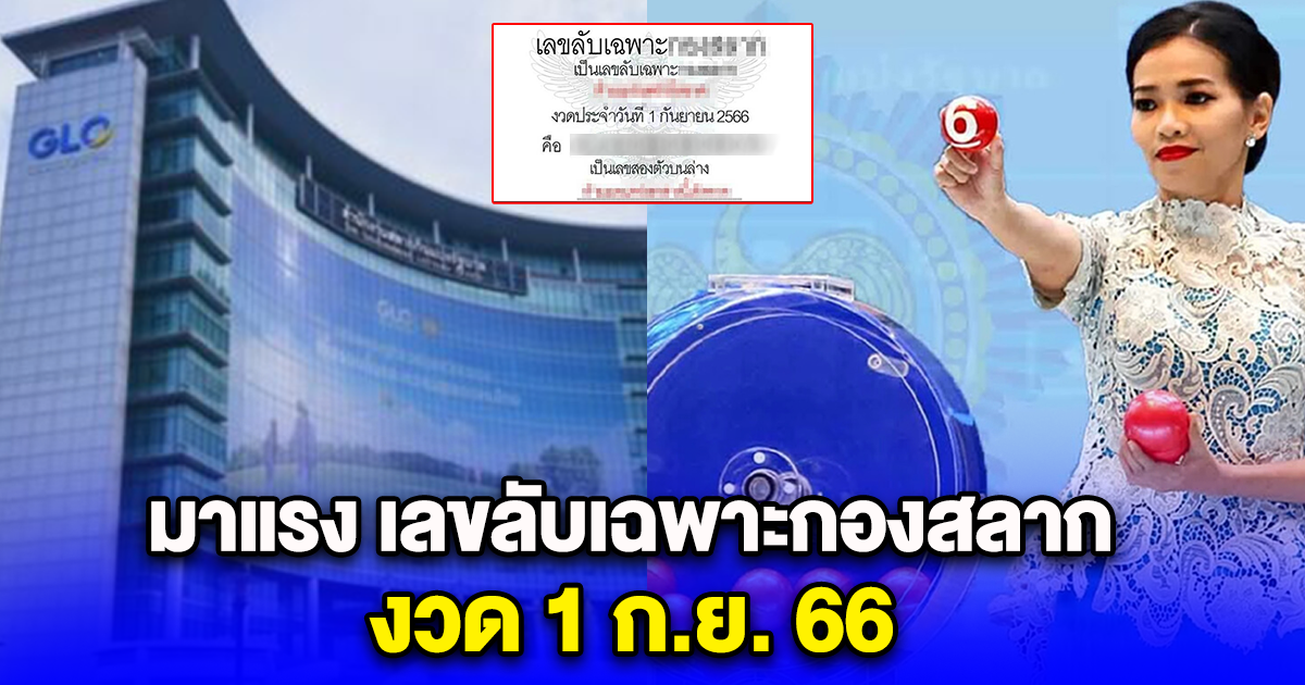 มาแรง เลขลับเฉพาะกองสลาก งวด 1 ก.ย. 66