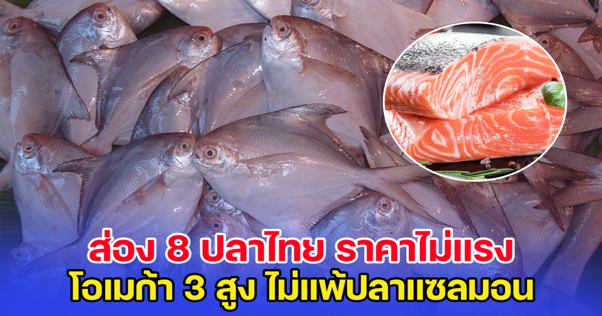 ส่อง 8 ปลาไทย ราคาไม่แรง โอเมก้า 3 สูง ไม่แพ้แซลมอน