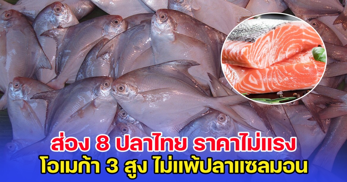 ส่อง 8 ปลาไทย ราคาไม่แรง โอเมก้า 3 สูง ไม่แพ้แซลมอน