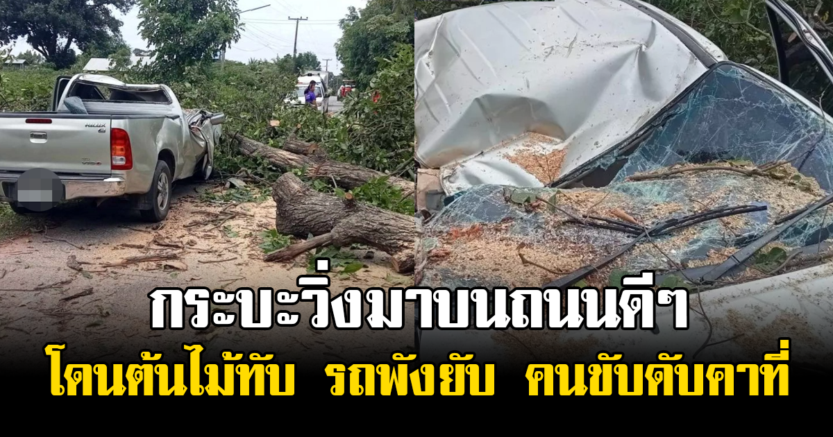 สุดเศร้า กระบะวิ่งมาบนถนนดีๆ จู่ๆ โดนต้นไม้ทับ รถพังยับ คนขับดับคาที่