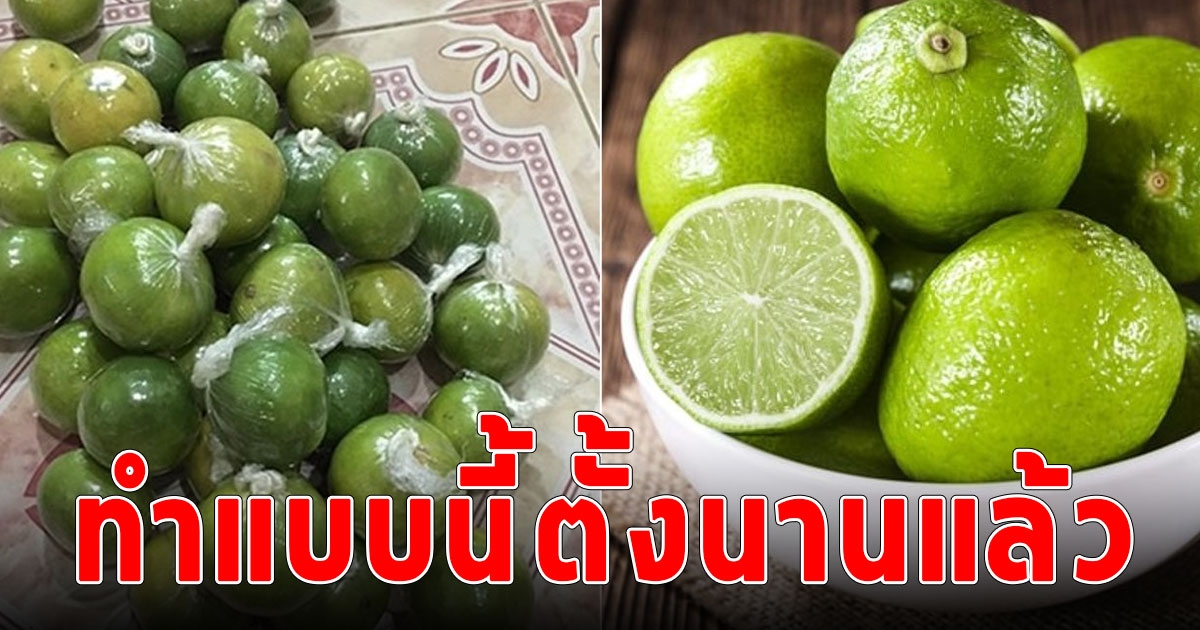 หลายคนยังไม่รู้ วิธีเก็บมะนาวไว้ข้ามปีให้เหมือนซื้อสดใหม่จากตลาด