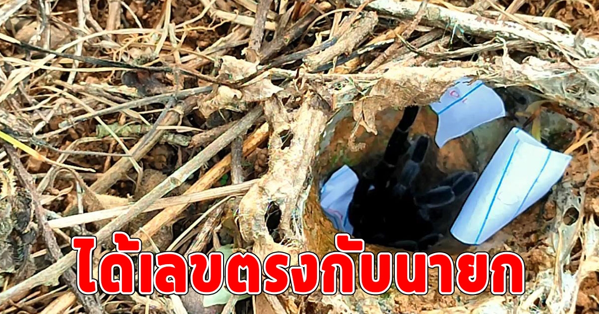 โค้งสุดท้าย พญาบึ้งมาแรง ชาวบ้านทำพิธีโบราณ ขอหวยได้เลขตรงกับนายก