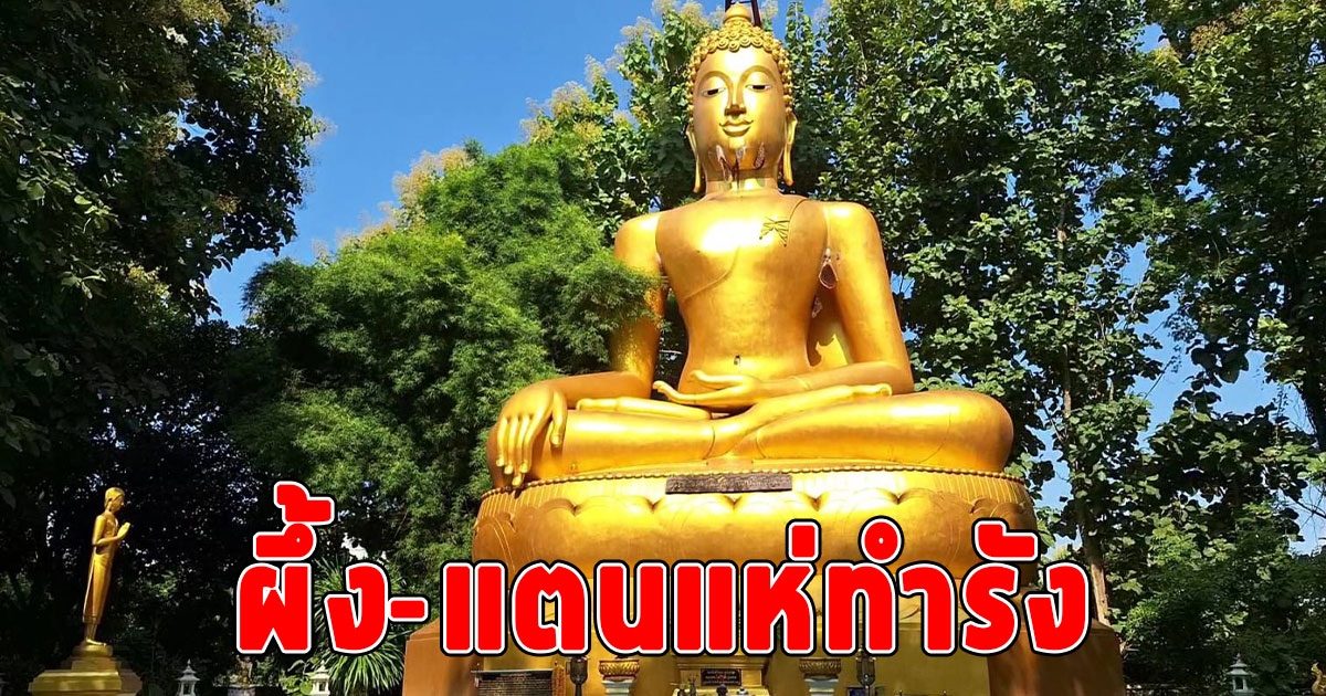 ผึ้งแตนแห่ทำรังใต้คางใต้รักแร้และสะดือ พระพุทธ มเหสักข์สยามินทร์กฤตา บุญลาภ
